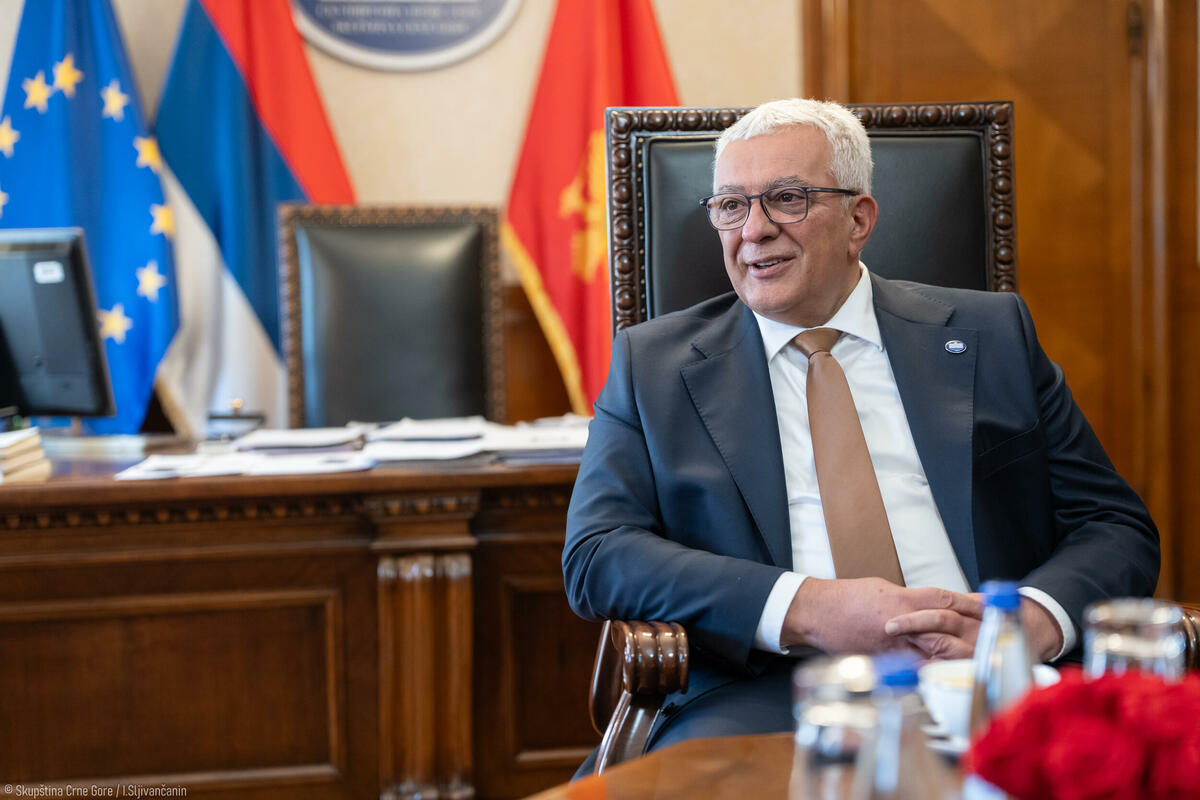 Fotografija uz vijest: Mandić najavljuje definisanje termina prvog glasanja o izmjeni Ustava