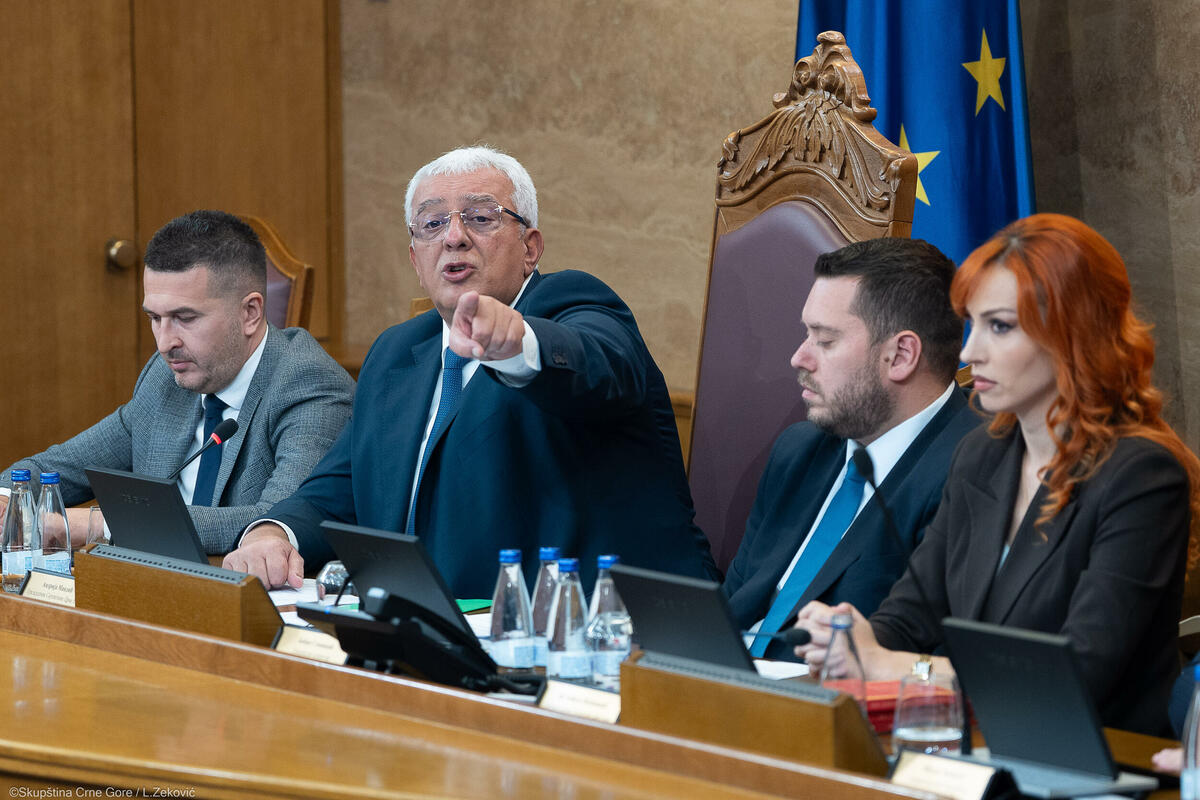 Fotografija uz vijest: Mandić pokušava da ublaži posljedice saučešća porodici Mladića i ističe poštovanje odluka Haškog tribunala