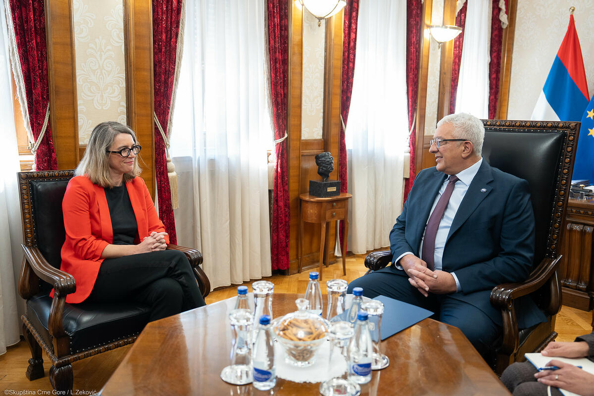 Fotografija uz vijest: Mandić: Prioritet parlamentarne obaveze u ključnim odlukama za evropsku budućnost