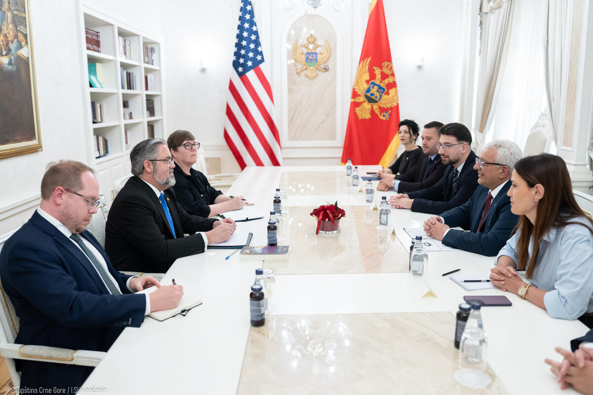 Fotografija uz vijest: Mandić: Sada je pravi trenutak za strateško partnerstvo Crne Gore i SAD