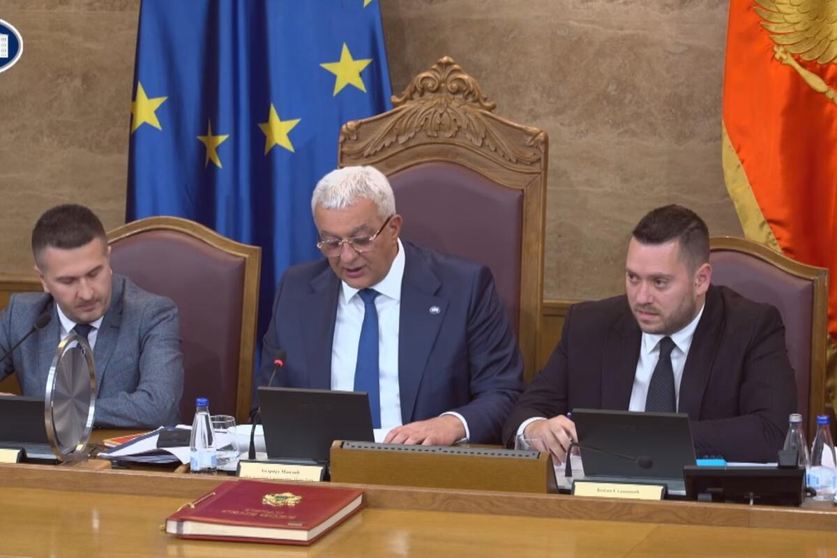 Fotografija uz vijest: Mandić tvrdi da je slučajno glasao za svoju smjenu, snimak pokazuje suprotno