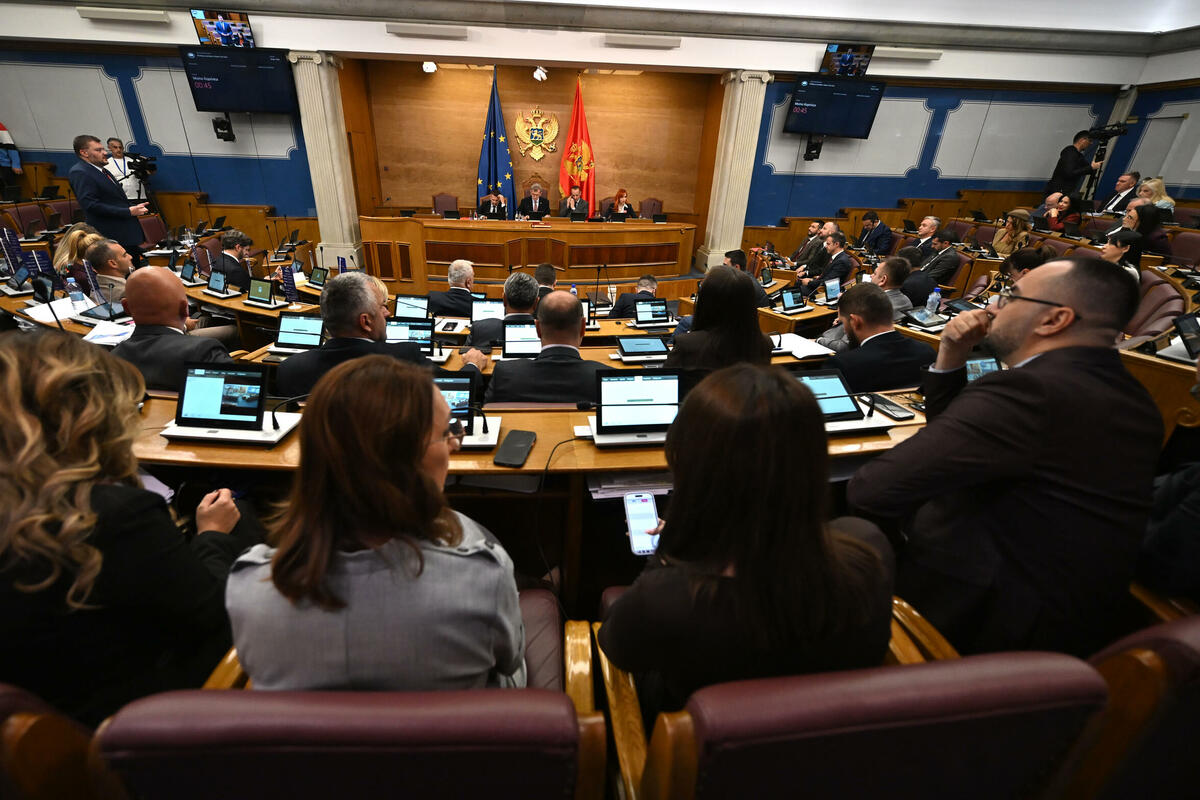 Fotografija uz vijest: Manjinske partije: Bez našeg jedinstva ne bi bilo pobjedničkih poruka o evropskom putu