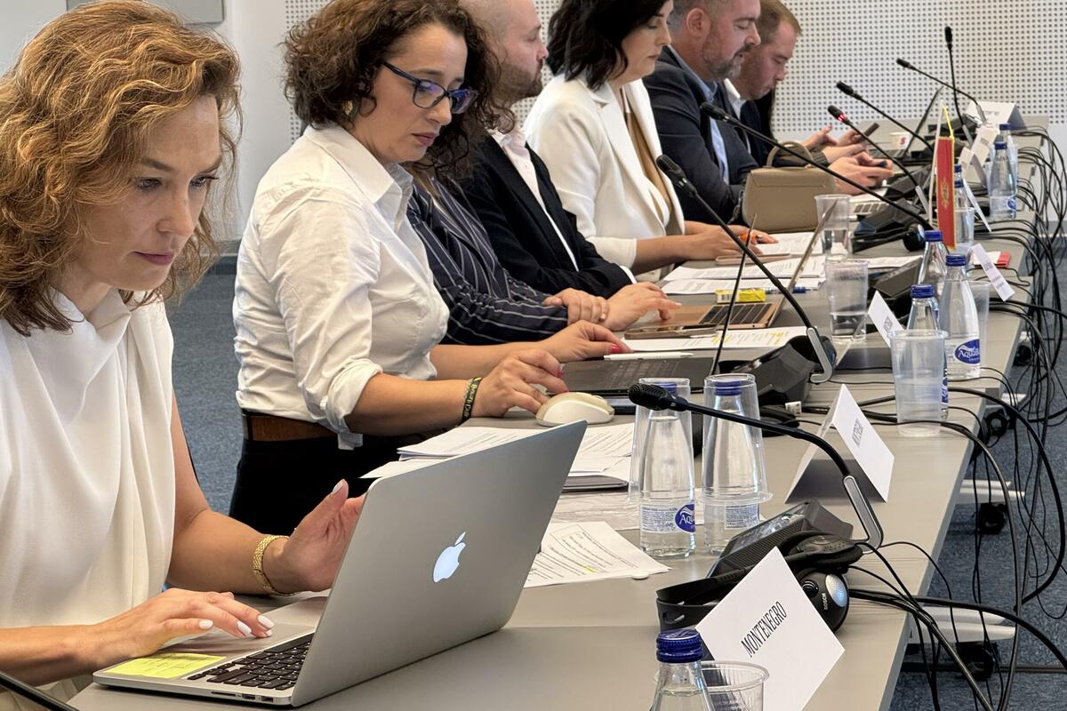 Fotografija uz vijest: MEP: Veliki napredak Crne Gore u oblasti inovacija, ljudskih resursa, informatičkog društva i socijalne politike