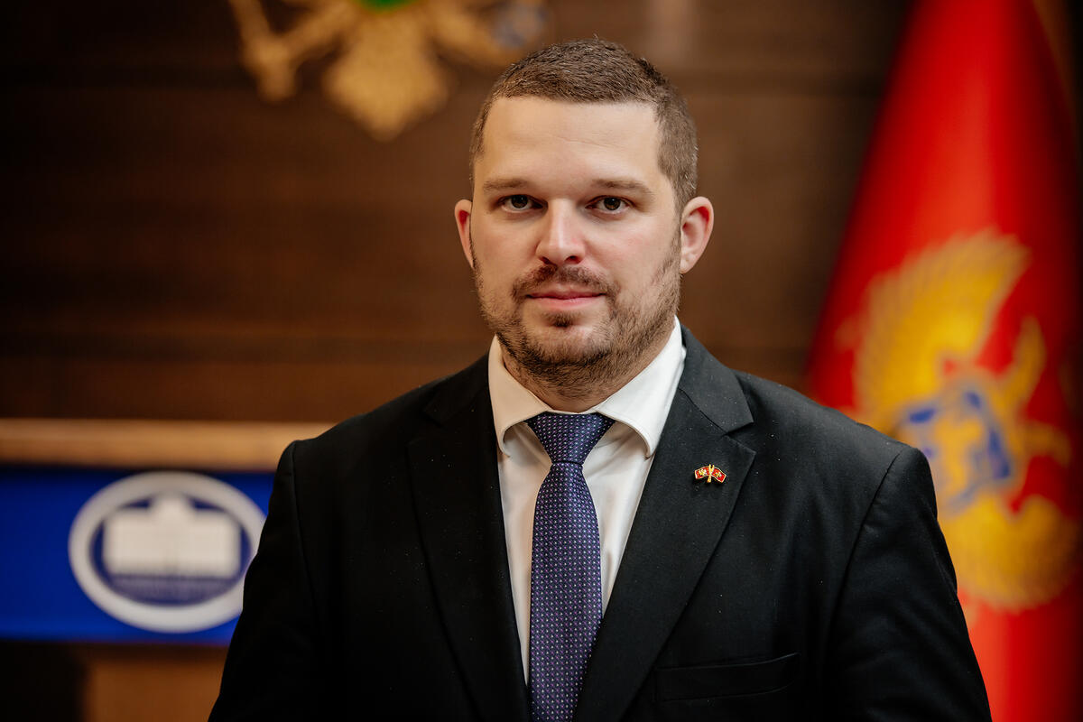 Fotografija uz vijest: Mikić poziva na podršku formiranju Anketnog odbora za Sveti Stefan i Miločer
