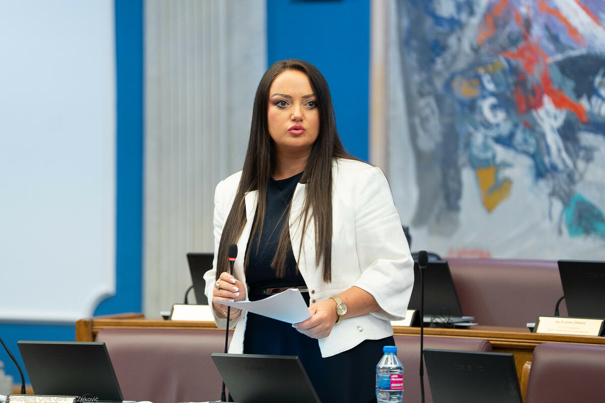 Fotografija uz vijest: Minić: Svaki drugi crnogorski ambasador 2019. nije bio karijerni diplomata
