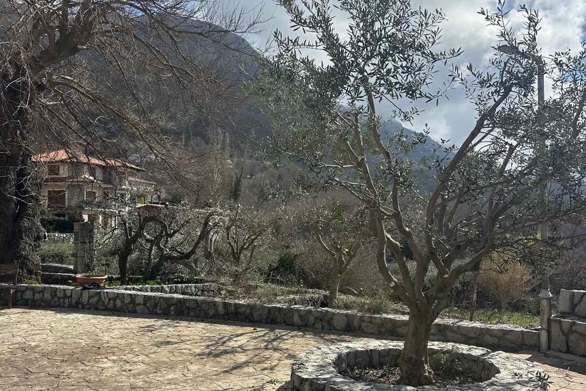 Fotografija uz vijest: Mještani Kuljače i ovog ljeta bez vode, projekat rezervoara još nije počeo