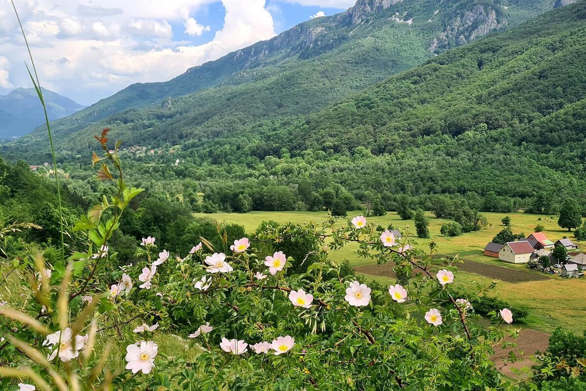 Fotografija uz vijest: Nastavljaju se radovi na adaptaciji puta ka Lipovu