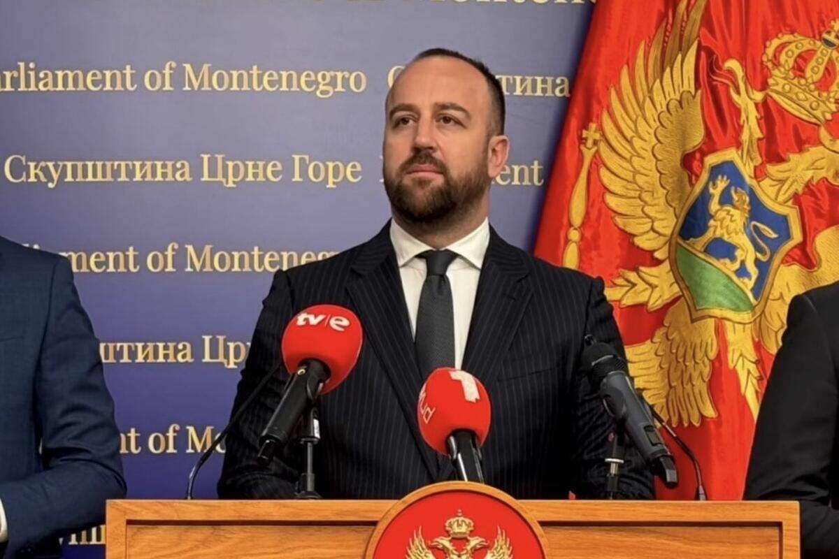 Fotografija uz vijest: Nikolić: Izvještaj EP ozbiljno upozorenje Vladi i parlamentu da promijene pristup