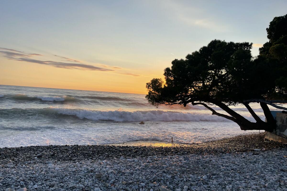 Fotografija uz vijest: O Novaku još jednom