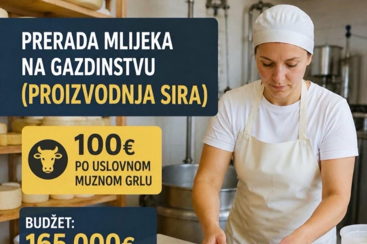 Fotografija uz vijest: Opština Bijelo Polje uvodi podršku proizvođačima sira: 100 eura po uslovnom muznom grlu
