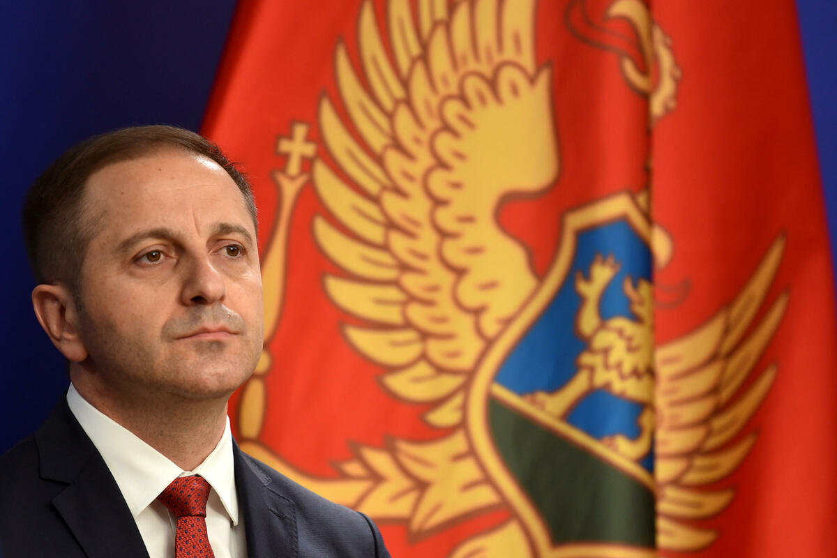 Fotografija uz vijest: Šehović: Evropska budućnost Crne Gore iznad partijskih interesa