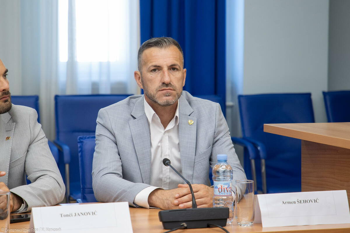 Fotografija uz vijest: Šehović: Odžiću i Evropskom savezu ne smeta veličanje Mladića zbog fotelje