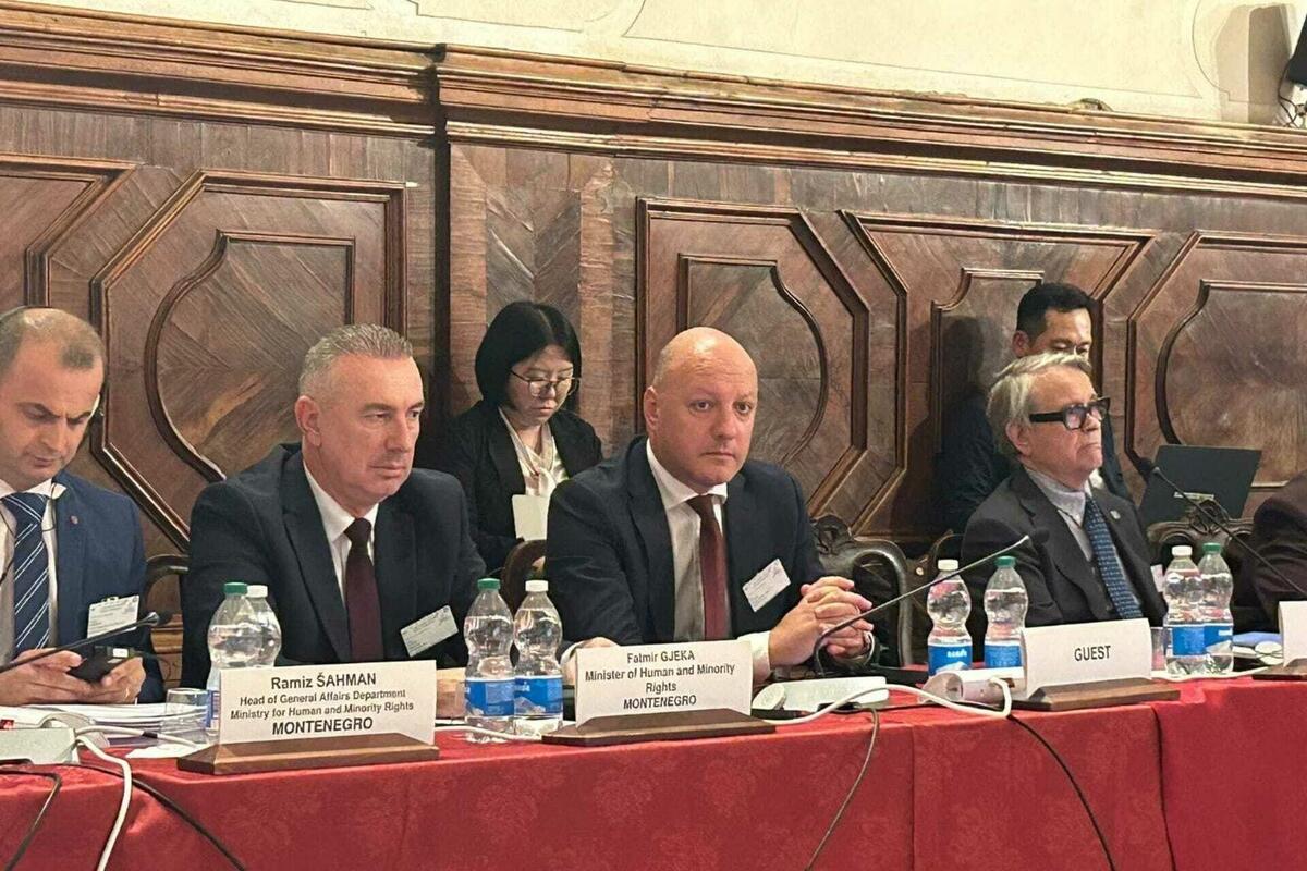 Fotografija uz vijest: Venecijanska komisija: Potrebna veća transparentnost i nezavisnost u raspodjeli sredstava za manjine