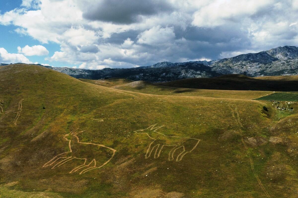 Fotografija uz vijest: Wild Beauty Art festival donosi umjetnost identiteta i prostora na Žabljaku