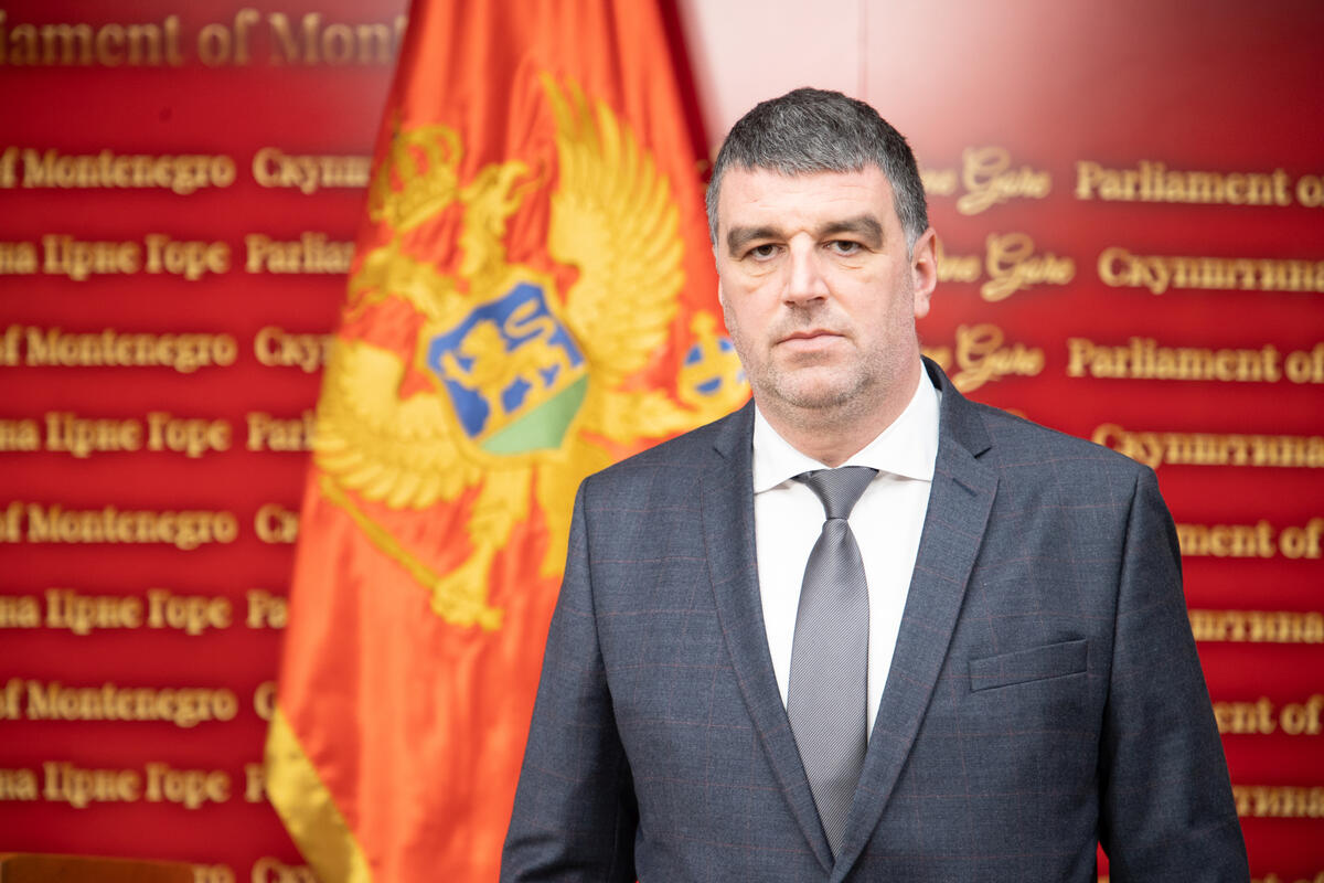 Fotografija uz vijest: Zečević: PES podržava uvođenje provjere integriteta mandatara i članova Vlade